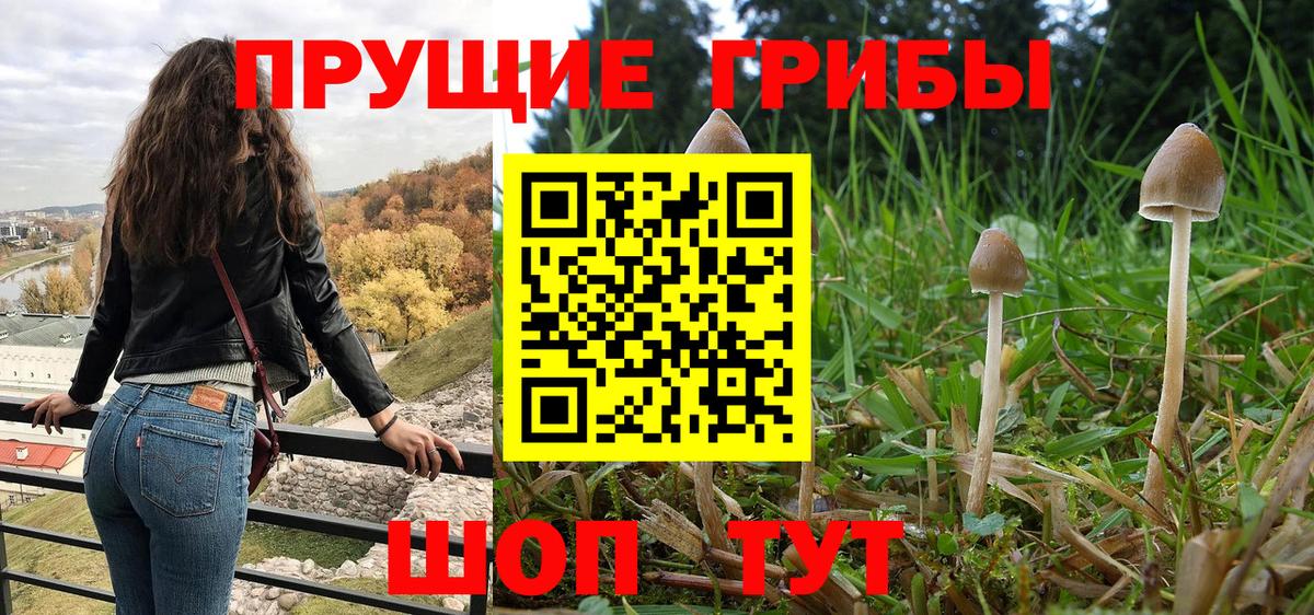 Галлюциногенные грибы Cubensis Кировск