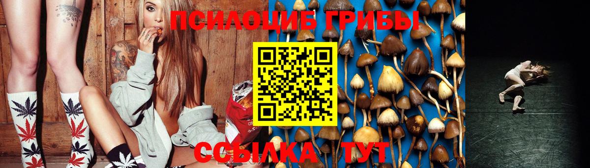Псилоцибиновые грибы ЛСД  Вход с VPN  Галлюциногенные грибы Psilocybe  Кировск 